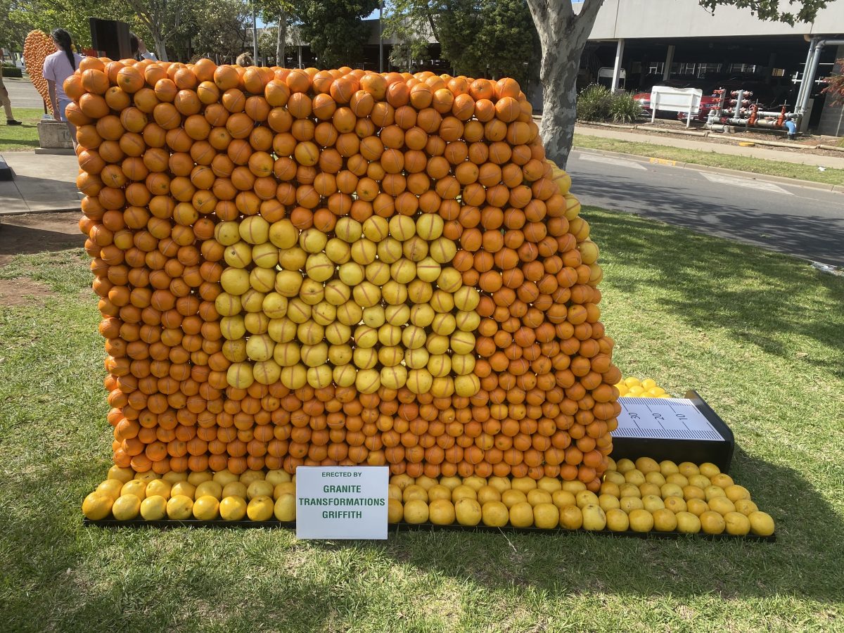 Tape measure sculpture made from citrus 